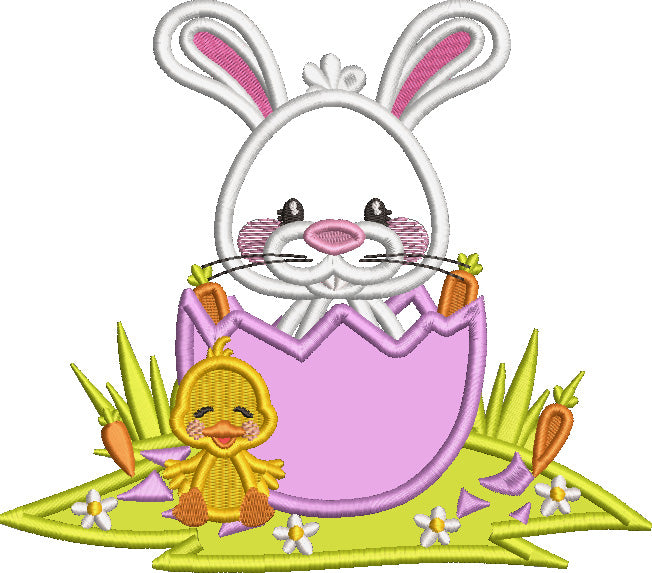 Little Bunny Sitting Inside Easter Egg With Baby Duck Applique Machine Embroidery Design Digitized Pattern