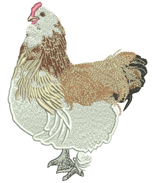 Big Fancy Hen With Grey And White Feathers Filled Machine Embroidery Design Digitized Pattern