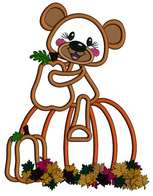 Cute Little Bear Sitting On The Giant Pumpkin With Leaves Fall Applique Machine Embroidery Design Digitized Pattern