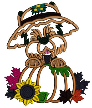 Cute Little Dog Wearing Hat Next To Pumpkin Fall Applique Thanksgiving Machine Embroidery Design Digitized Pattern