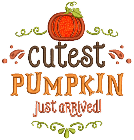 Cutest Pumpkin Just Arrived Applique Machine Embroidery Design Digitized Pattern