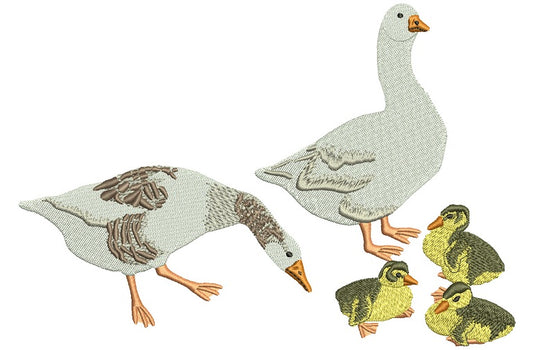 Duck Family Filled Machine Embroidery Design Digitized Pattern
