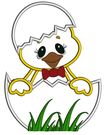 Easter Chick Inside Egg Applique Machine Embroidery Design Digitized Pattern