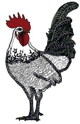 Fancy White And Black Rooster Applique Machine Embroidery Design Digitized Pattern