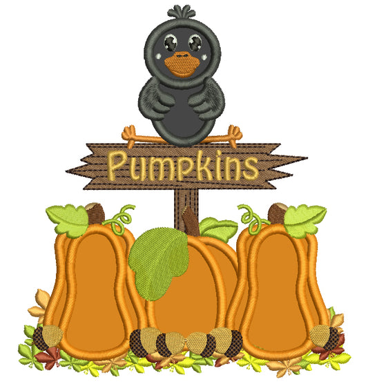 Little Crow in a Pumpkin Patch Applique Machine Embroidery Digitized Design Pattern