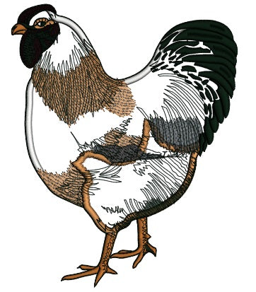 Multicolor Hen Applique Machine Embroidery Design Digitized