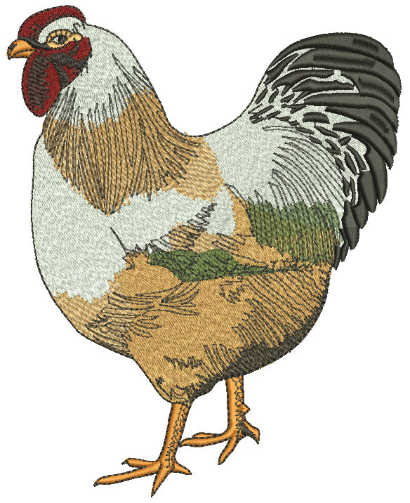 Multicolor Hen Filled Machine Embroidery Design Digitized