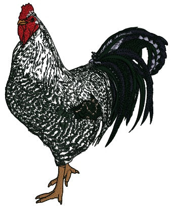Rooster Named Juan Pedro Is a Custom Order That We Made For Irma Who Wanted Everyone To Stitch Him Out Applique Machine Embroidery Design Digitized Pattern