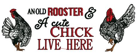 An Old Rooster And a Cute Chick Live Here Applique Machine Embroidery Design Digitized Pattern