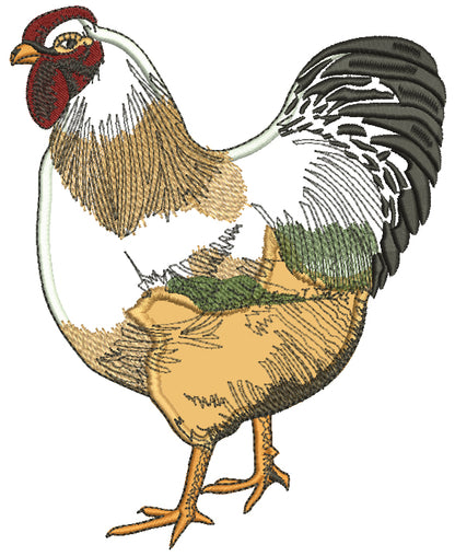 Chicken Rooster Machine Embroidery Designs Set - 24 Designs