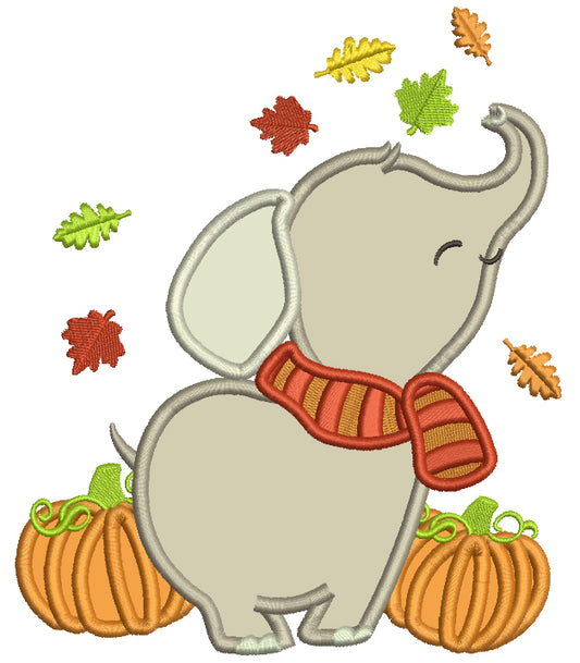 Baby Elephant With Two Pumpkins And Fall Leaves Applique Machine Embroidery Design Digitized Pattern