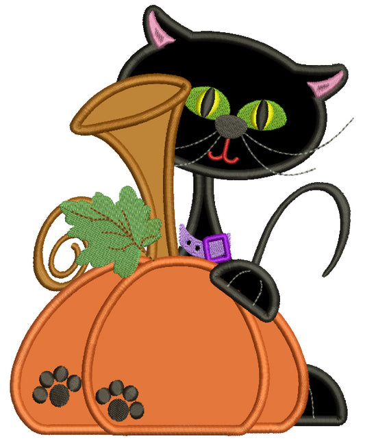 Black Hat Holding a Large Pumpkin Halloween Applique Machine Embroidery Digitized Design Pattern