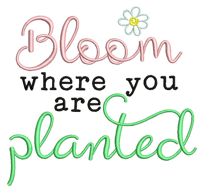 Bloom Where You Are Planted Daisy Filled Machine Embroidery Design Digitized Pattern