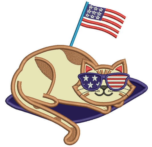 Cat Wearing USA Sunglasses With American Flag 4th Of July Independence Day Patriotic Applique Machine Embroidery Design Digitized Patterny