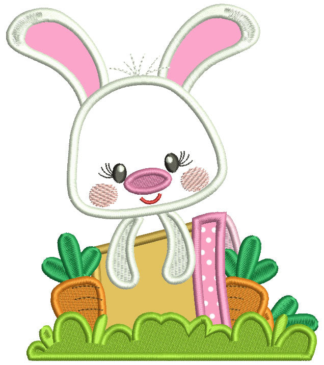 Cute Bunny With Flower Pot Applique Easter Machine Embroidery Design Digitized Pattern