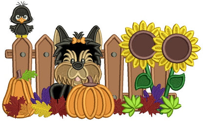 Cute Dog Pumpkins And Sunflowers Fall Thanksgiving Applique Machine Embroidery Design Digitized Pattern