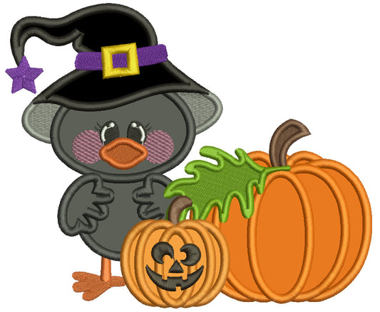 Cute Littel Crow Wizard WIth Pumpkins Halloween Applique Machine Embroidery Design Digitized Pattern