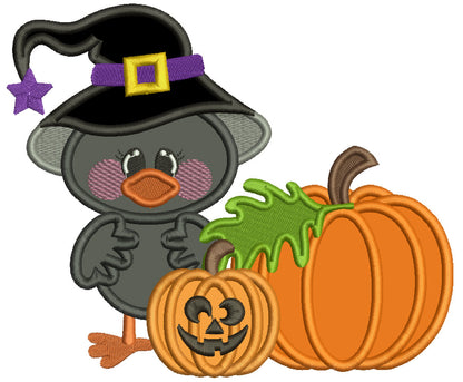 Cute Littel Crow Wizard WIth Pumpkins Halloween Applique Machine Embroidery Design Digitized Pattern