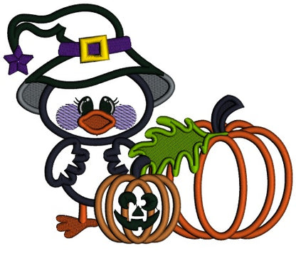 Cute Littel Crow Wizard WIth Pumpkins Halloween Applique Machine Embroidery Design Digitized Pattern