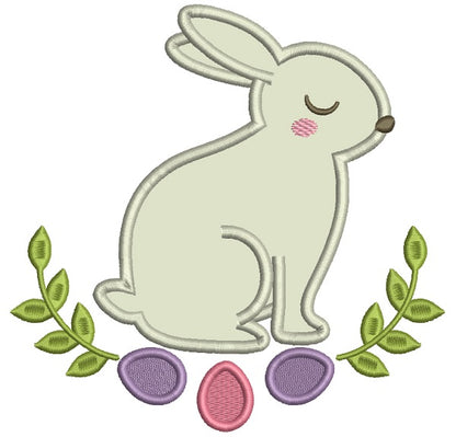 Cute Little Bunny With Easter Eggs Applique Machine Embroidery Design Digitized Pattern
