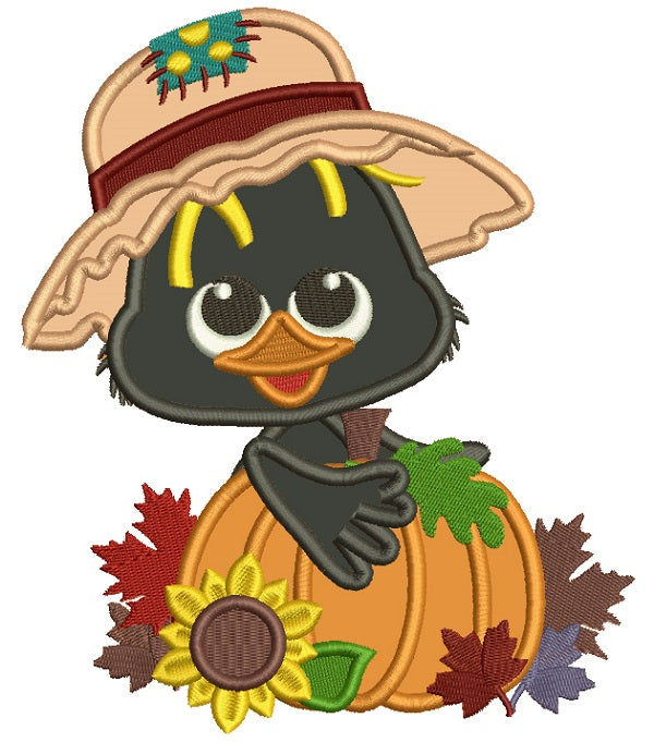 Cute Little Crow Holding Big Pumpkin Fall Thanksgiving Applique Machine Embroidery Design Digitized Pattern