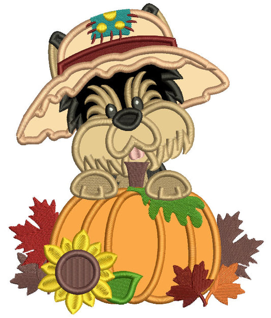 Cute Little Dog Wearing Hat Next To Pumpkin Fall Applique Thanksgiving Machine Embroidery Design Digitized Pattern