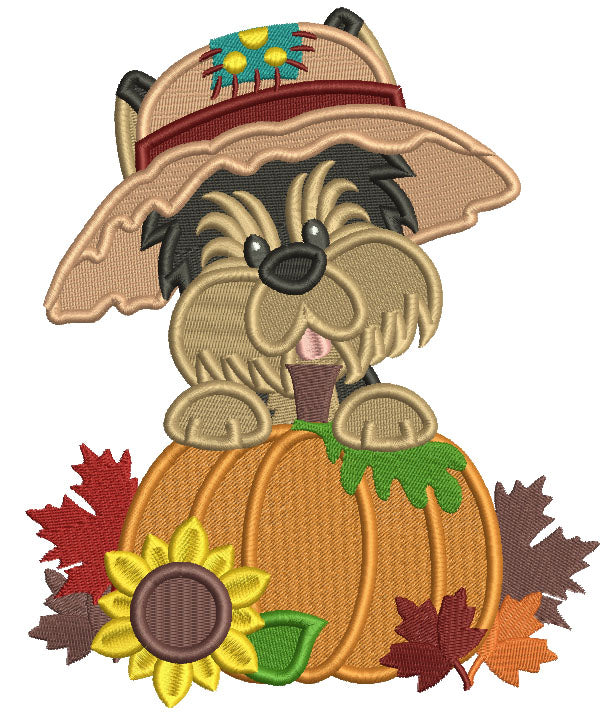 Cute Little Dog Wearing Hat Next To Pumpkin Fall Filled Thanksgiving Machine Embroidery Design Digitized Pattern