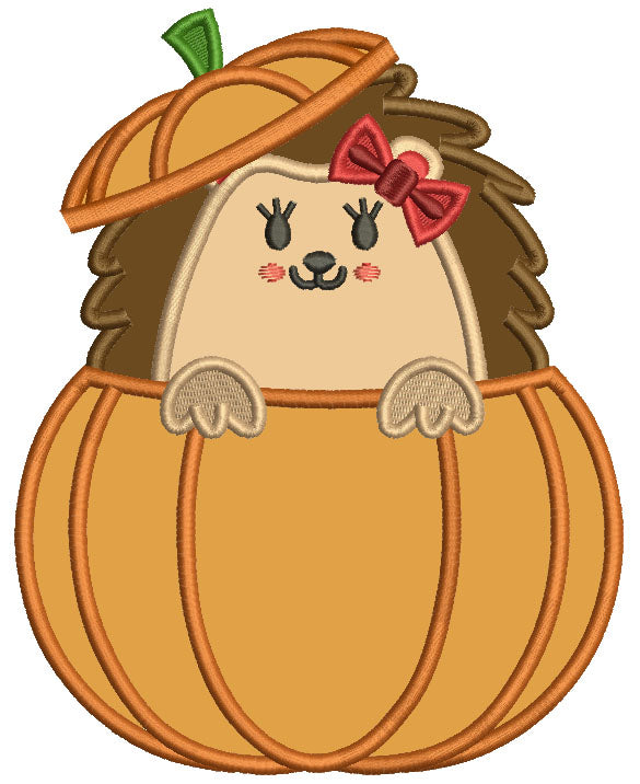 Cute Little Hedgehog Sitting Inside a Pumpkin Thanksgiving Applique Machine Embroidery Design Digitized Pattern