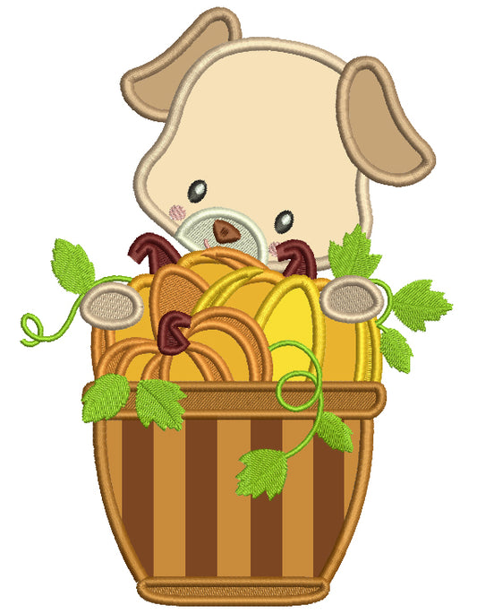 Cute Little Piggy With a Basket Full Of Pumpkins Thanksgiving Applique Machine Embroidery Design Digitized Pattern