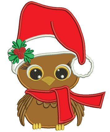 Cute Bird With a Large Santa Hat Christmas Applique Machine Embroidery Digitized Design Pattern