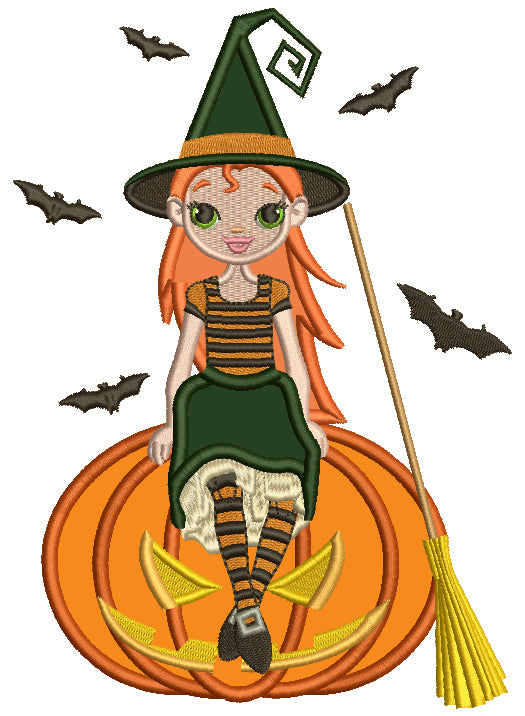 Cute Witch Sitting On a Pumpkin Halloween Applique Machine Embroidery Design Digitized Pattern