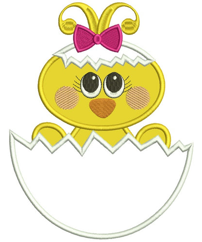 Cute Baby Chick Inside an Egg Applique Machine Embroidery Design Digitized Pattern