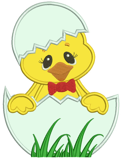 Easter Chick Inside Egg Applique Machine Embroidery Design Digitized Pattern