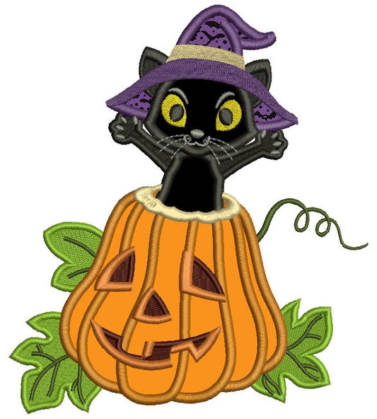 Excited Black Cat Sitting in the Pumpkin Halloween Applique Machine Embroidery Design Digitized Pattern