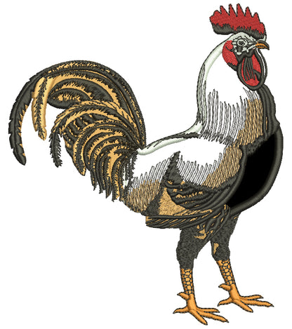 Fancy Country Rooster Applique Machine Embroidery Design Digitized