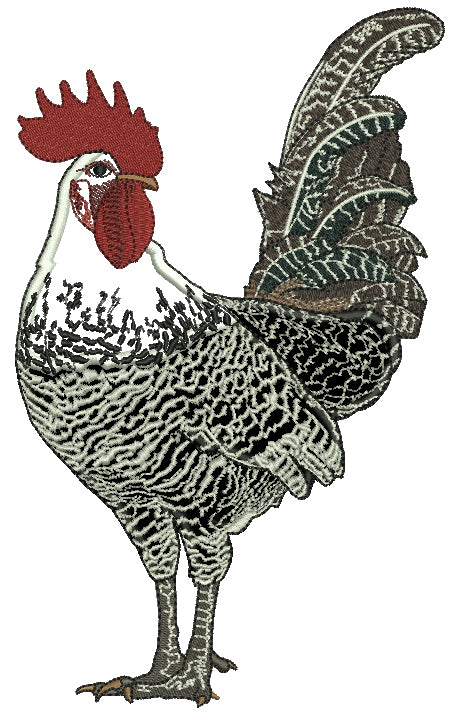 Fancy White And Black Rooster Applique Machine Embroidery Design Digitized Pattern