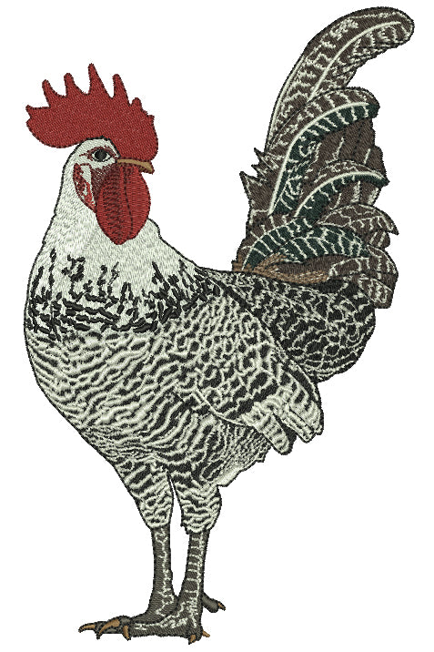 Fancy White And Black Rooster Filled Machine Embroidery Design Digitized Pattern