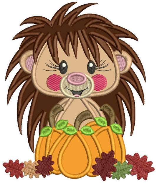 Hedgehog Holding Pumpkin With Leaves Thanksgiving Applique Machine Embroidery Design Digitized Pattern