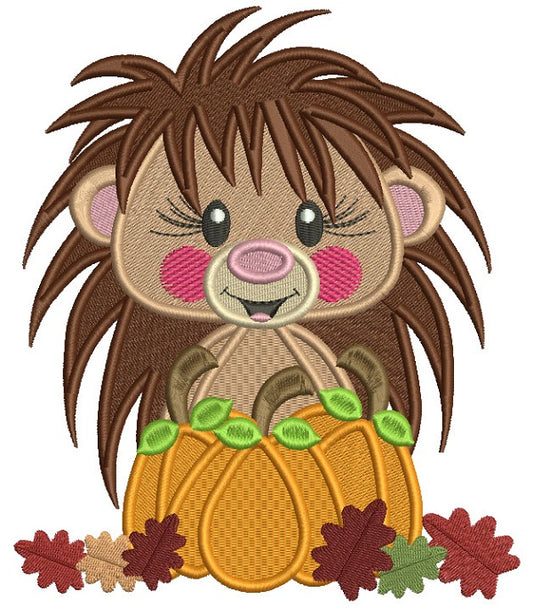 Hedgehog Holding Pumpkin With Leaves Thanksgiving Filled Machine Embroidery Design Digitized Pattern