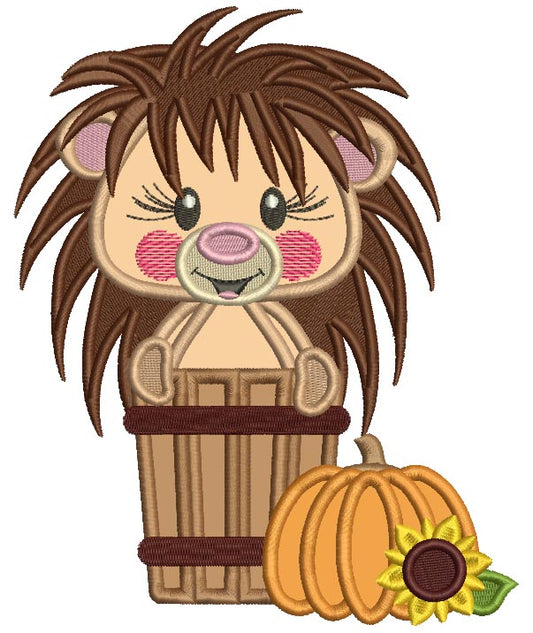 Hedgehog Inside a Basket With a Pumpkin Applique Machine Embroidery Design Digitized Pattern