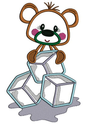 Little Bear Sitting On Ice Cubes Applique Machine Embroidery Digitized Design Pattern