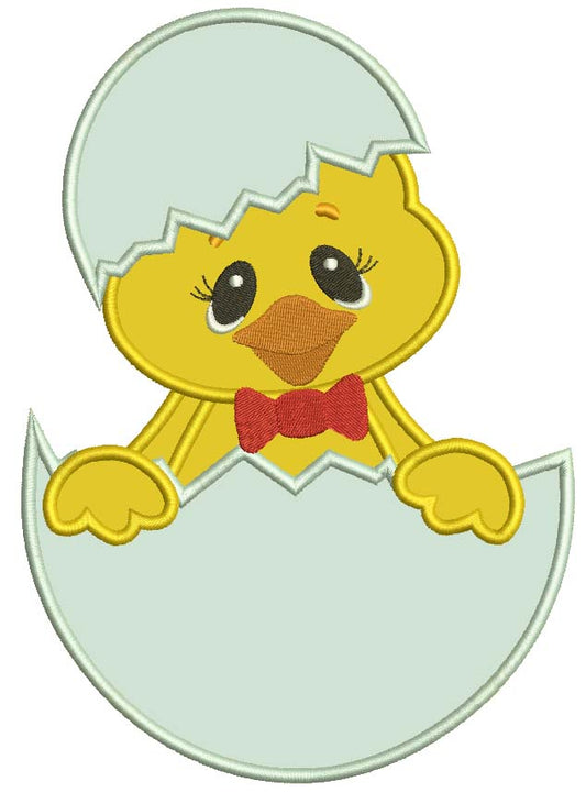 Little Chick Hatching From The Egg Applique Machine Embroidery Digitized Design Pattern