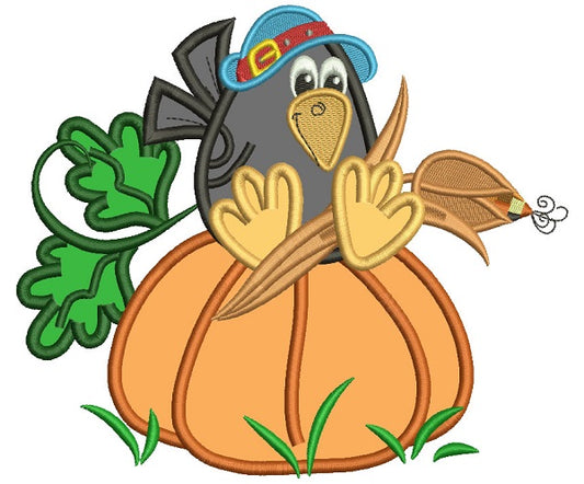 Little Crow Sitting on the Pumpkin Halloween Applique Machine Embroidery Design Digitized Pattern