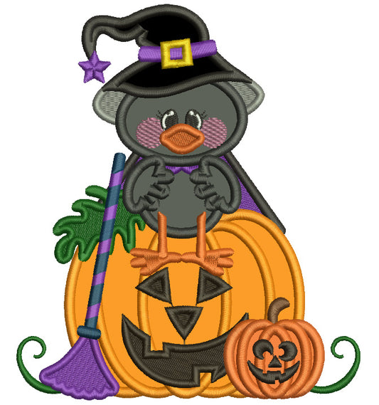 Little baby Crow Wizard Sitting On The Pumpkin Halloween Applique Machine Embroidery Design Digitized Pattern