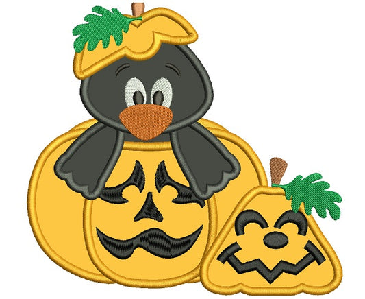 Little Crow Sitting Inside Pumpkin Halloween Applique Machine Embroidery Design Digitized Pattern