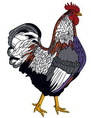 Multicolor Rooster Applique Machine Embroidery Design Digitized Pattern