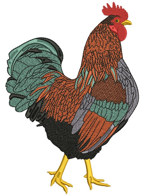 Multicolor Rooster Filled Machine Embroidery Design Digitized Pattern