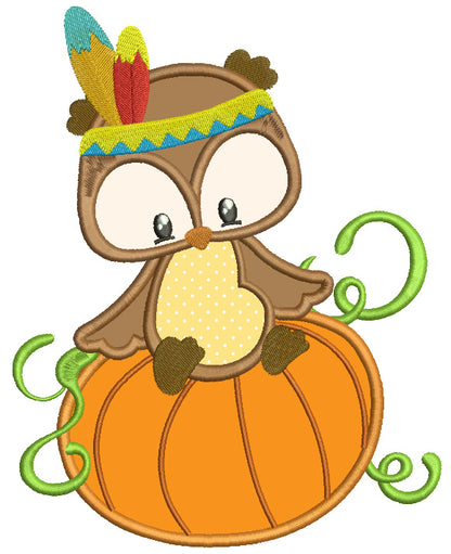 Owl That Looks Like Indian Sitting on a Pumpkin Thanksgiving Applique Machine Embroidery Digitized Design Pattern