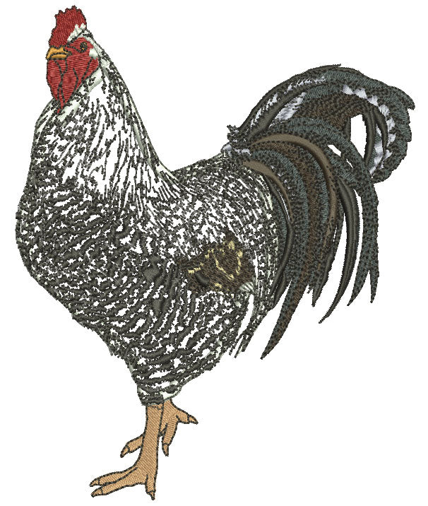 Rooster Named Juan Pedro Is a Custom Order That We Made For Irma Who Wanted Everyone To Stitch Him Out Applique Machine Embroidery Design Digitized Pattern