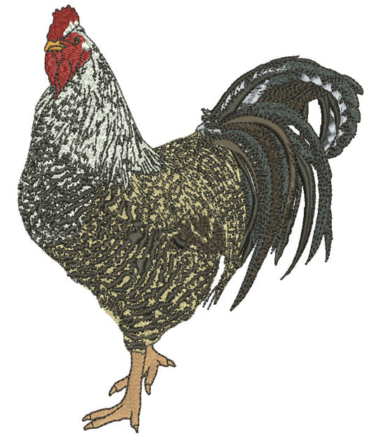 Rooster Named Juan Pedro Is a Custom Order That We Made For Irma Who Wanted Everyone To Stitch Him Out Filled Machine Embroidery Design Digitized Pattern